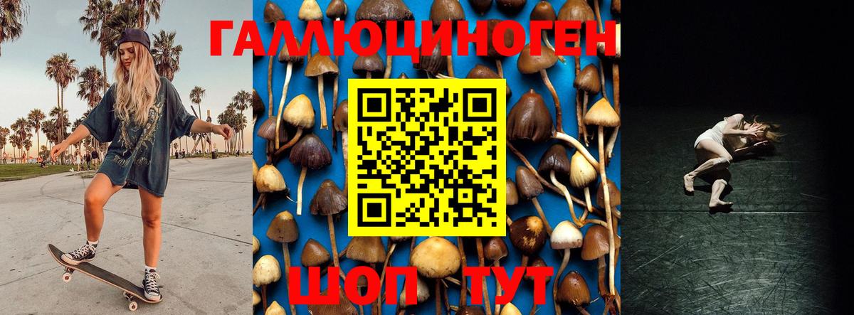 Махачкала  Псилоцибиновые грибы мицелий  как найти закладки  Вход с VPN 