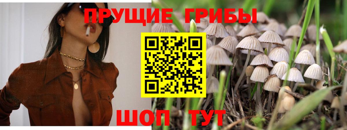 Псилоцибиновые грибы MAGIC MUSHROOMS Махачкала